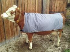 Kuhdecke für Großvieh