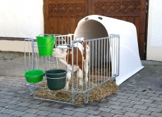 CalfHouse Master Plus mit leichter Umzäunung