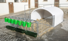 CalfHouse Premium XXL