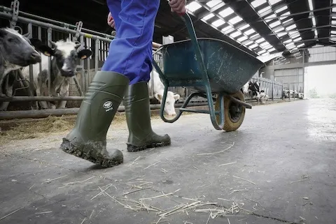 Bekina Sicherheitsstiefel S5 StepliteX® Solidgrip