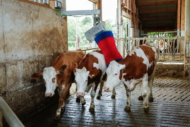 Kuhputzmaschine HAPPYCOW MaxiSwing