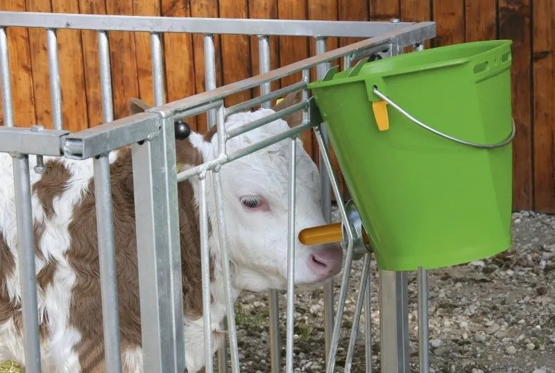 Tränkeeimer mit Hygieneventil