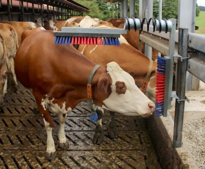 Viehbürste Euro Farm