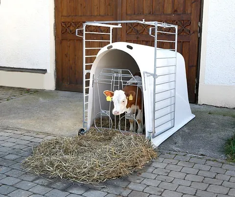 CalfHouse Master Plus mit leichter Umzäunung