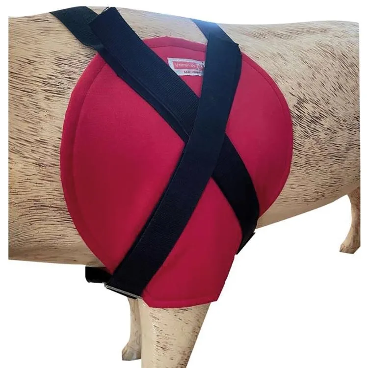 MaxiPork Schulterschutz