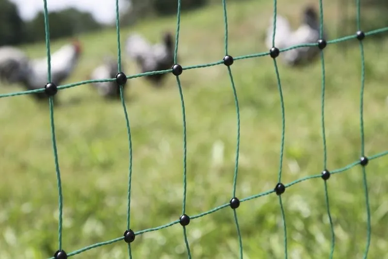 PoultryNet grün elektrifizierbar - Geflügelnetz, 15 m, Doppelspitze