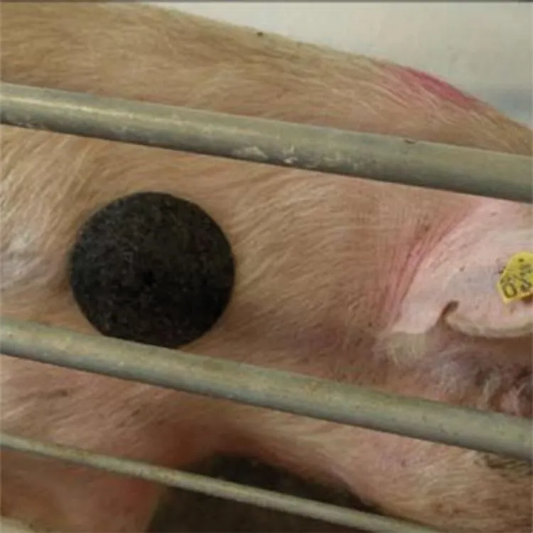 Porcivet Schulterschutz, 10 Stk.