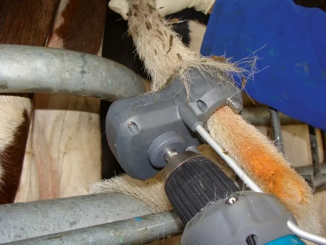 Tailwell II Schwanz-Trimmer