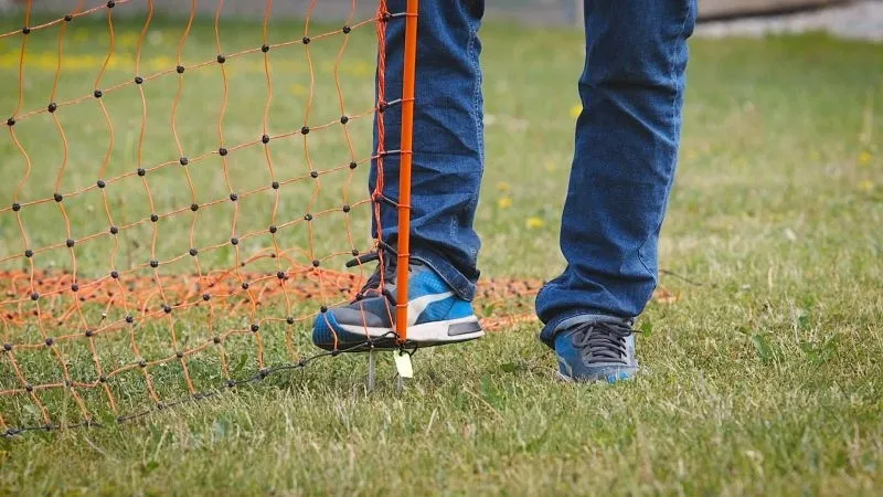 PoultryNet orange elektrifizierbar - Geflügelnetz, 50 m, Einzelspitze