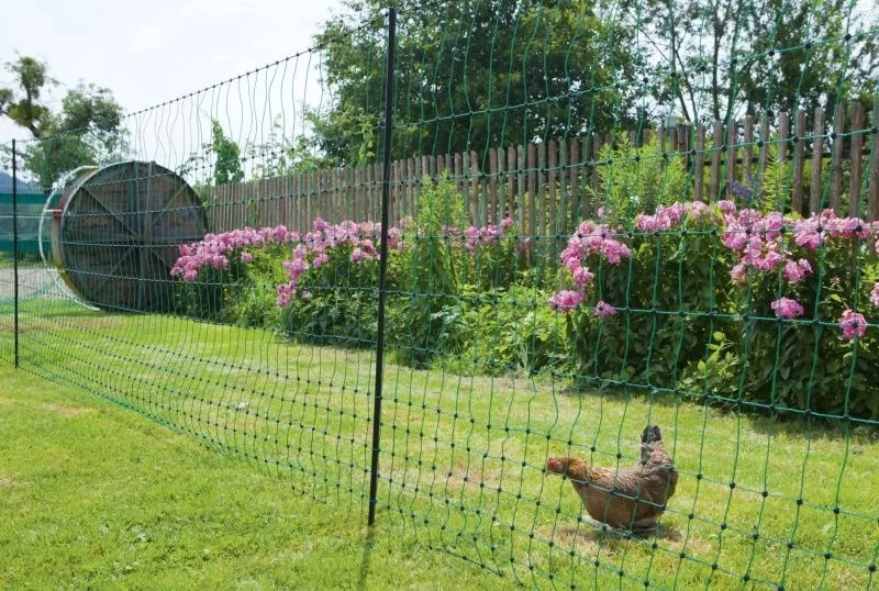 PoultryNet grün nicht elektrifizierbar - Geflügelnetz 50 m, Einzelspitze