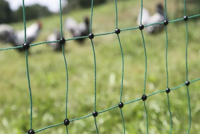 PoultryNet grün elektrifizierbar - Geflügelnetz, 50 m, Doppelspitze