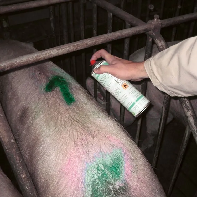 MS Markierungsspray 500 ml