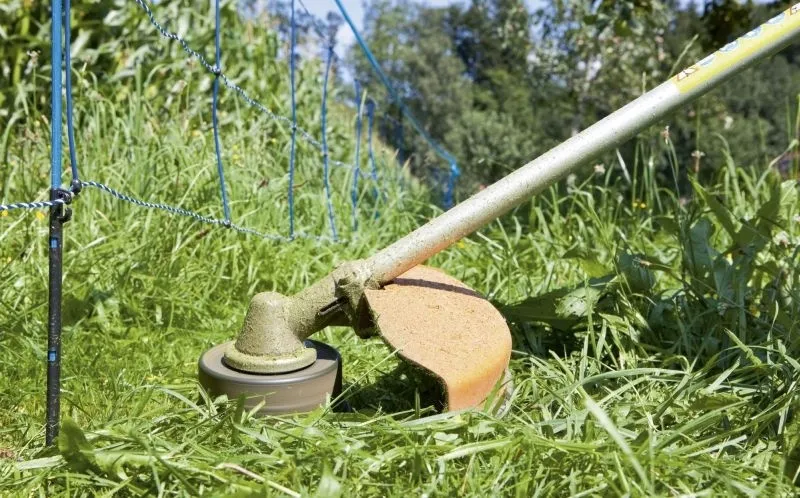 Wildabwehr-Netz 75cm, 50m, blau