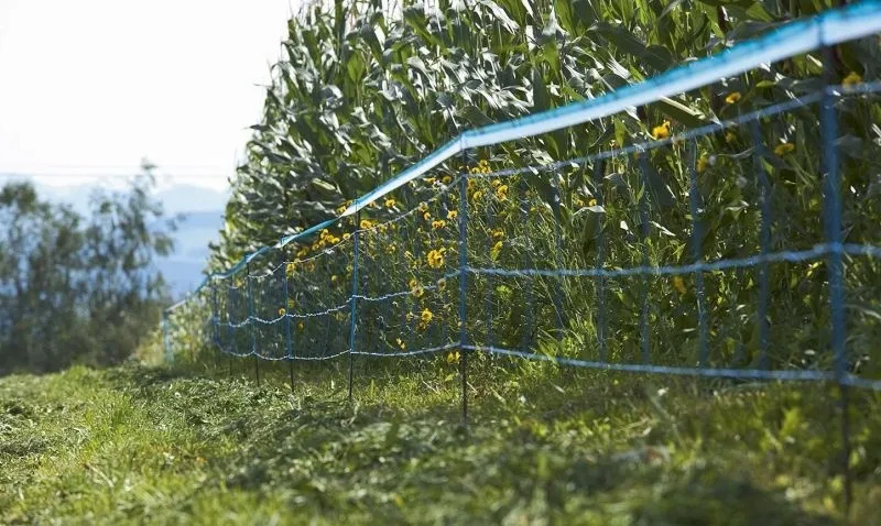 Wildabwehr-Netz 75cm, 50m, blau