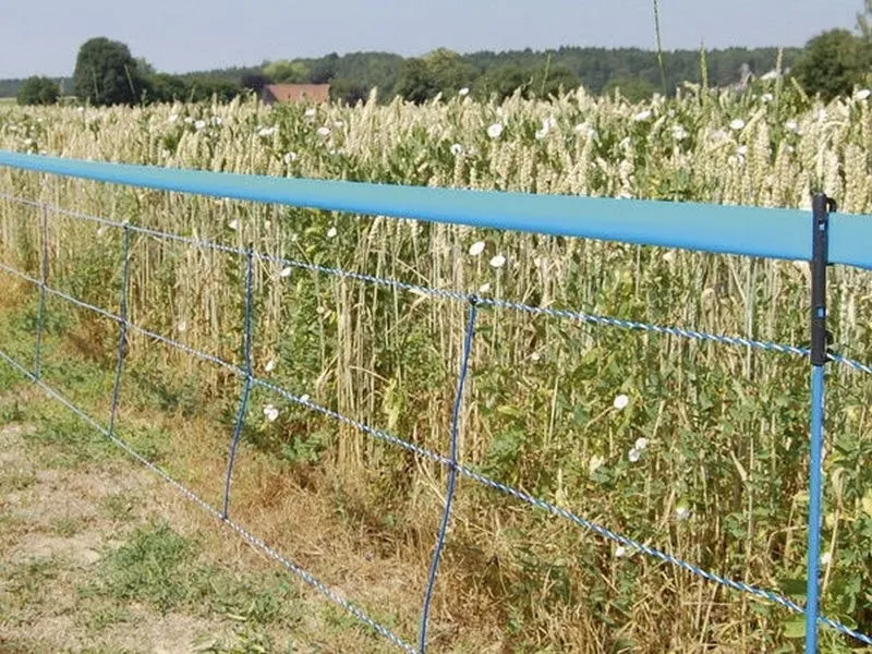 Wildabwehr-Netz 75cm, 50m, blau