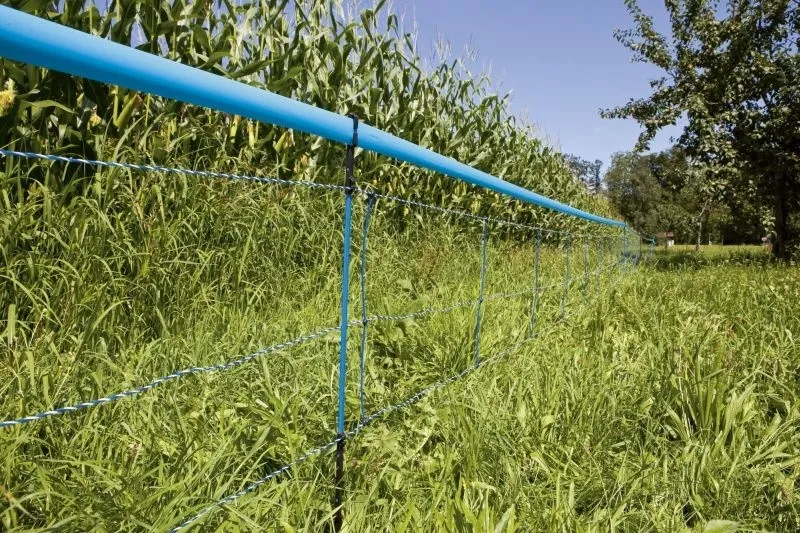 Wildabwehr-Netz 75cm, 50m, blau