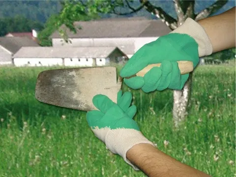 Latex-Handschuh ProLaTex