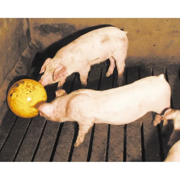 Schweinespielball gelb, 30 cm
