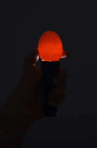 LED-Schierlampe inkl Batterie