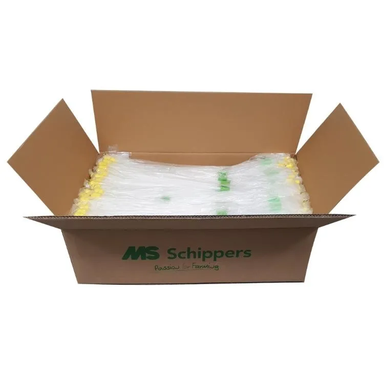Schaumkopfpipette + Bremse + Intra-Uterus Sonde, 500 Stk, einzeln verpackt