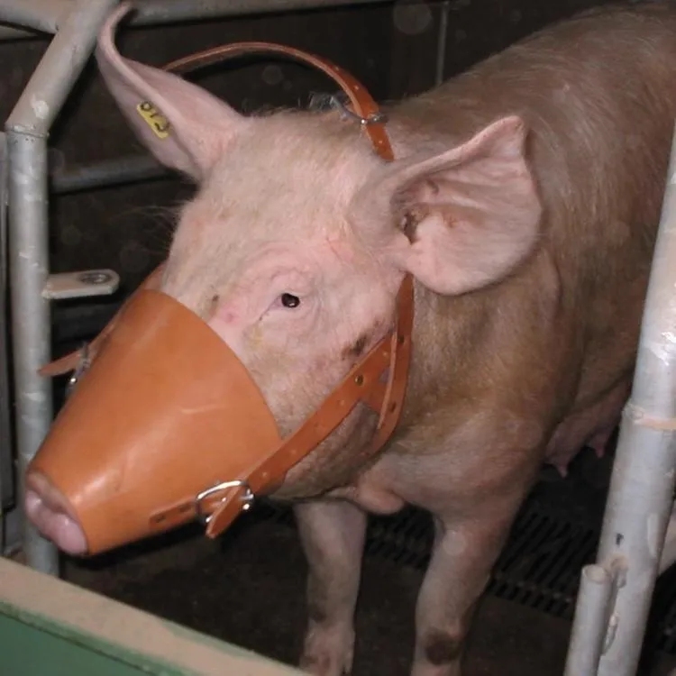 Maulkorb Leder mit Kehlenband