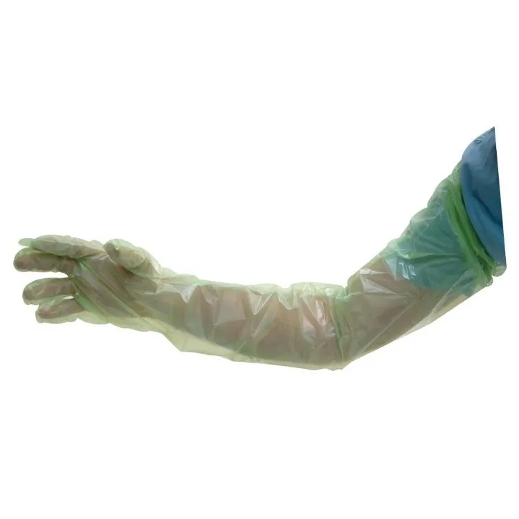 Einweghandschuhe Kunststoff, lang, 100 Stück, grün