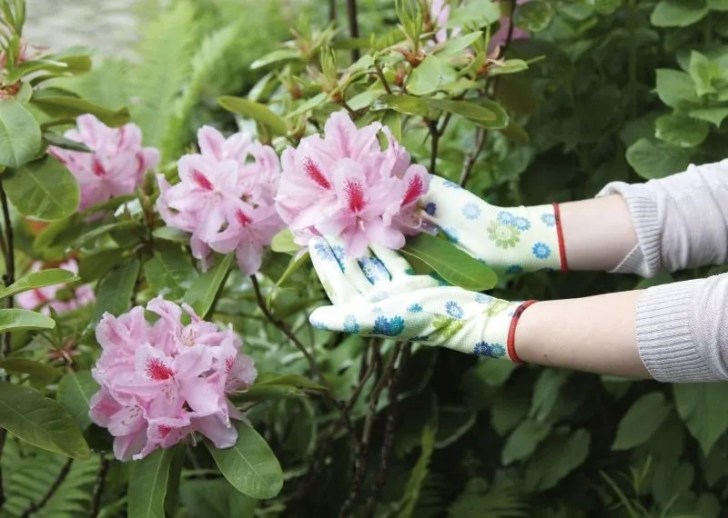 Flower Power