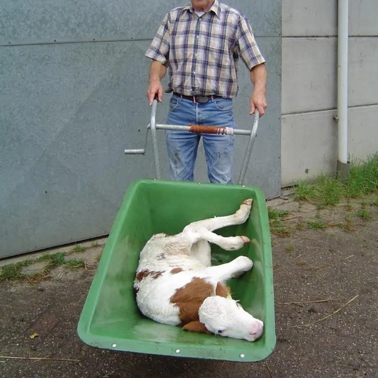 Kälberwagen mit Winde