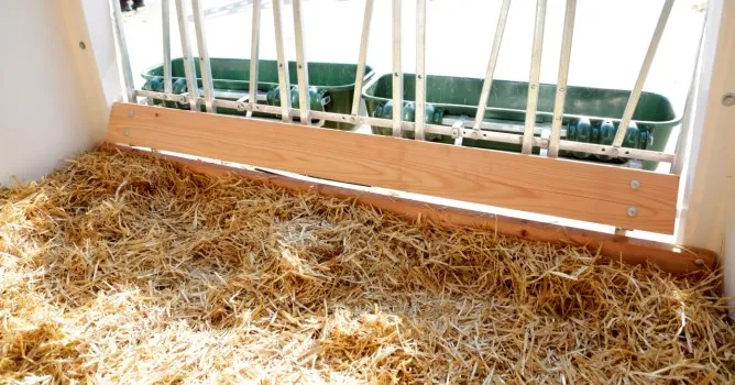 CalfHouse Premium XXL