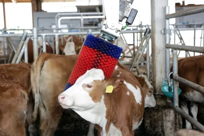Kuhputzmaschine HAPPYCOW MiniSwing