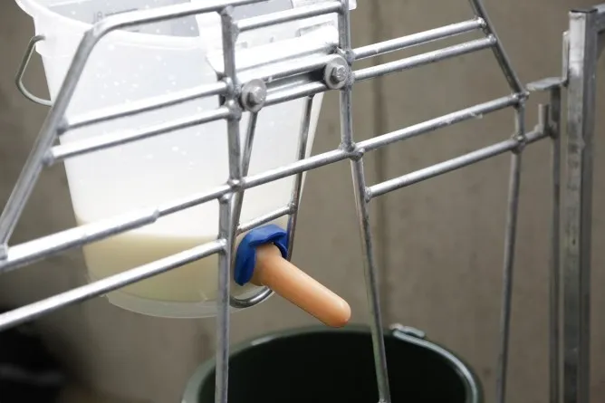 Tränkeventil FixClip New Generation mit Naturkautschuk-Sauger