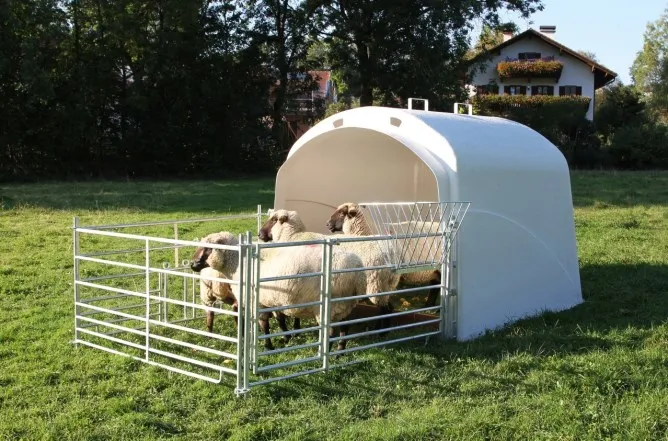 Steckhorde, diverse Größen
