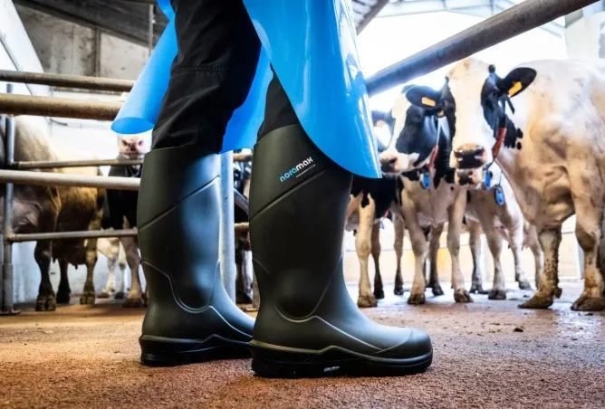 NORAMAX Safety Sicherheitsstiefel S5