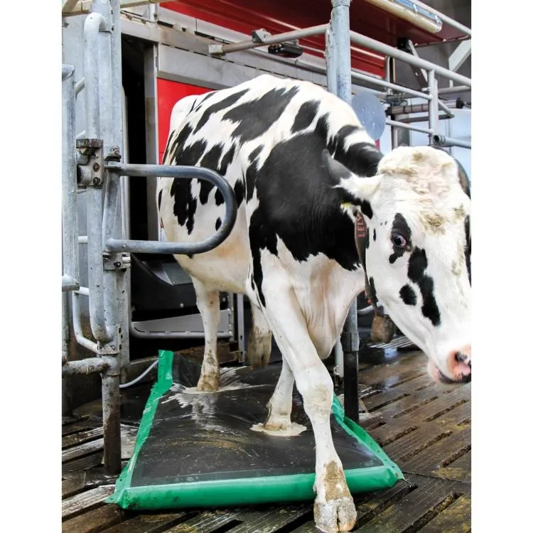 AutoHoofClean Paket, 10 x 20 kg Kanister