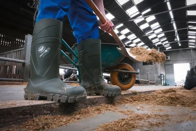 Bekina Sicherheitsstiefel S5 StepliteX® Thermoprotec
