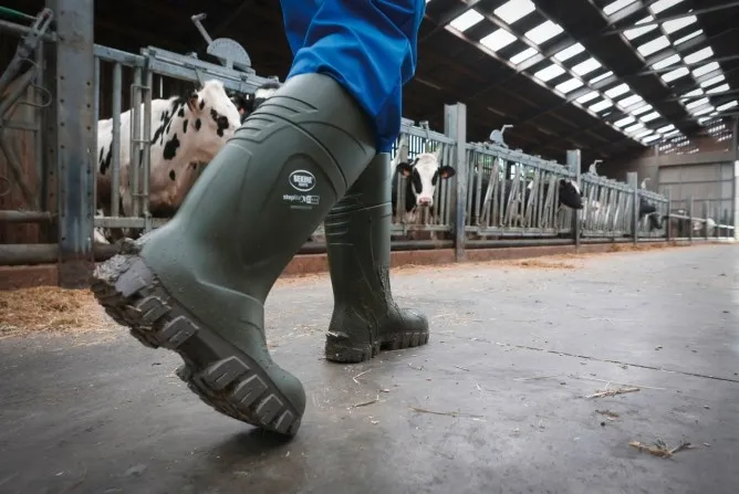 Bekina Sicherheitsstiefel S5 StepliteX® Thermoprotec