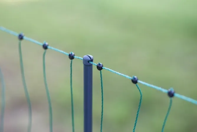 Geflügel/Lämmernetz Premium grün, nicht elektrifizierbar - 50 m, Einzelspitze