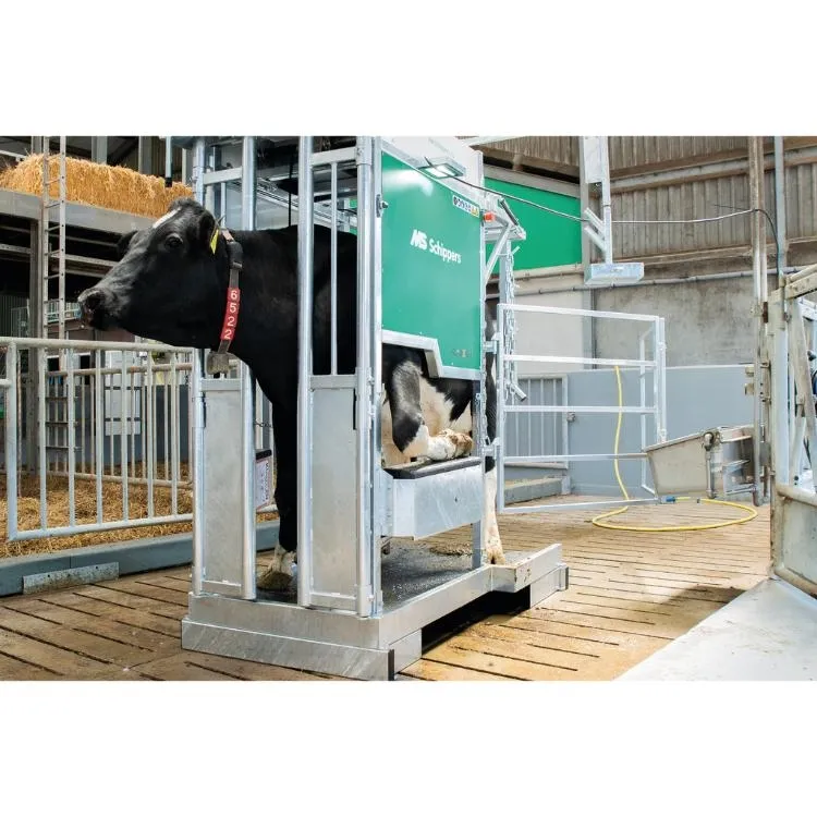 Klauenpflegestand Platinum