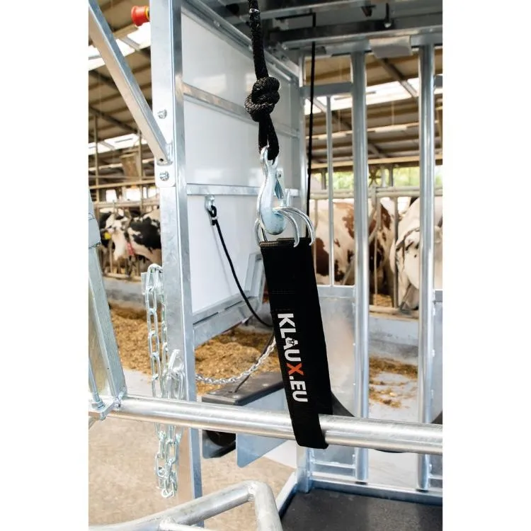 Klauenpflegestand Platinum