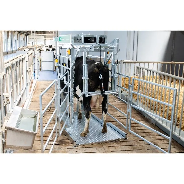 Klauenpflegestand Silver