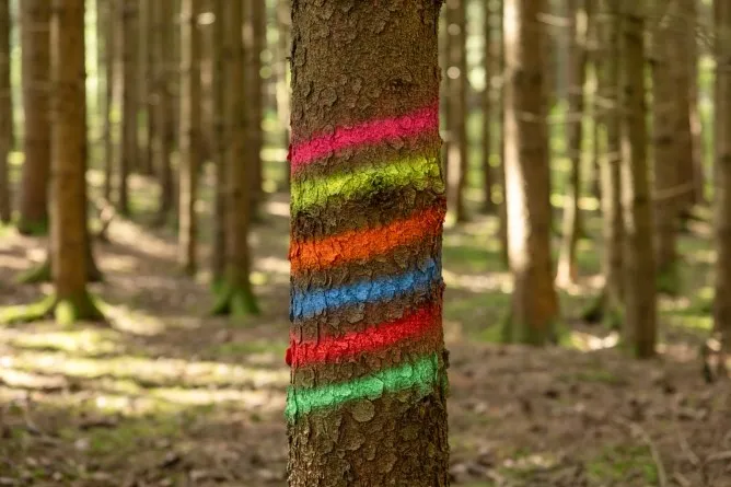 Markierungsspray Forst Neon