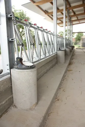 Suevia Heizbares Tränkebecken Modell 41A 80 W Heizspirale