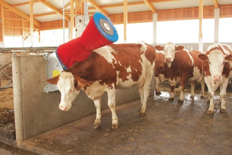 Kuhputzmaschine HAPPYCOW Uno