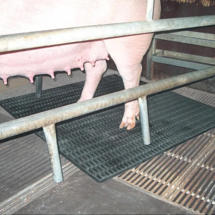 Schweinematte Gummi 100 x 100 cm