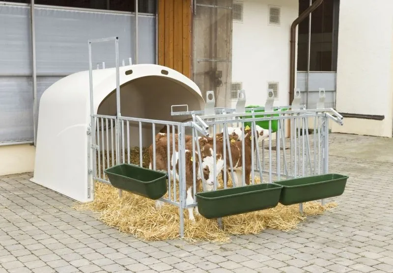 Langfuttertrog zum Einhängen