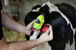 MooCall Abkalbemelder