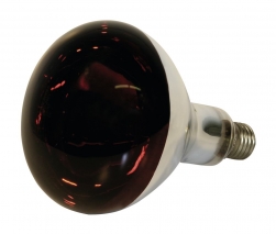 Kerbl Infrarotlampe, 150 Watt rot, Hartglas