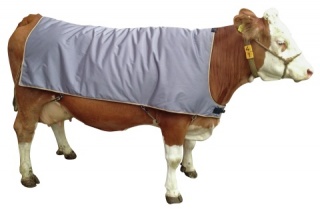 Kuhdecke für Großvieh
