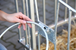 CalfHouse Master Plus mit leichter Umzäunung