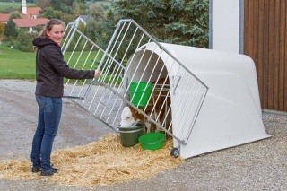 CalfHouse Master Plus mit leichter Umzäunung